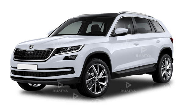 Диагностика ошибок сканером Skoda Kodiaq в Челябинске Диагностика ошибок сканером Skoda Kodiaq в Челябинске