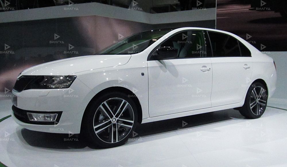 Диагностика ошибок сканером Skoda Rapid в Челябинске Диагностика ошибок сканером Skoda Rapid в Челябинске