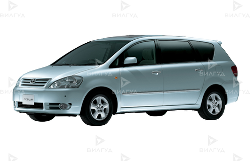 Диагностика ошибок сканером Toyota Ipsum в Челябинске Диагностика ошибок сканером Toyota Ipsum в Челябинске