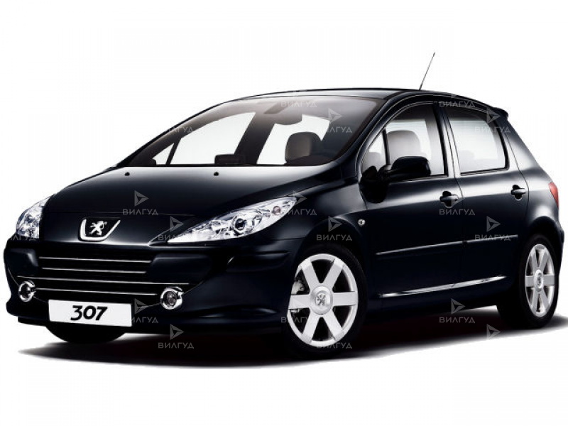 Регламентное ТО Peugeot 307 в Челябинске